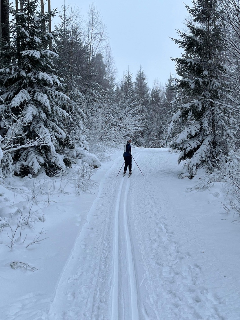 Petersburg fullt av skarabor som prövar  skidspåren!