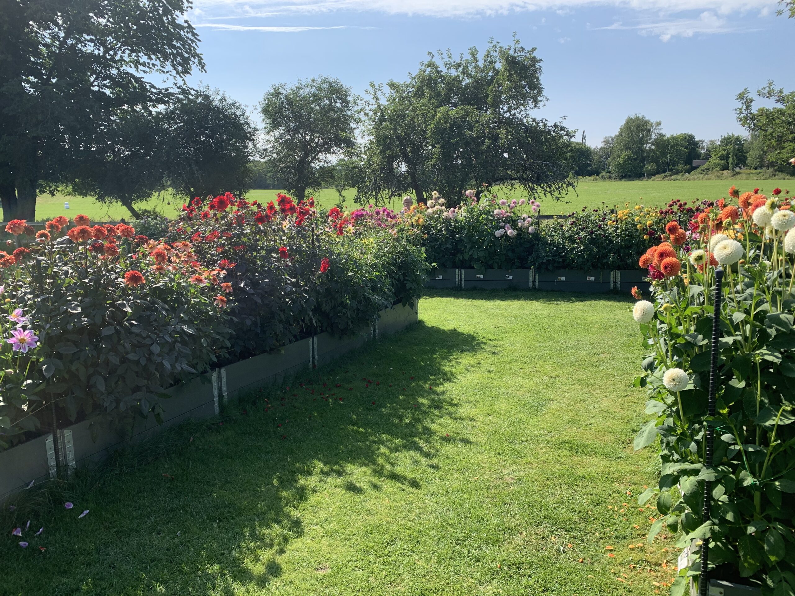 Varnhemsspelen och Vallesommar.