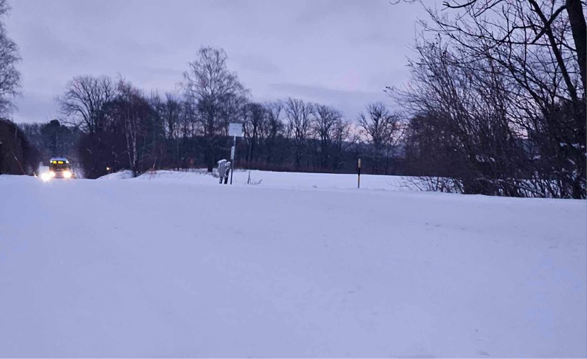 Skara klarade snön bra!