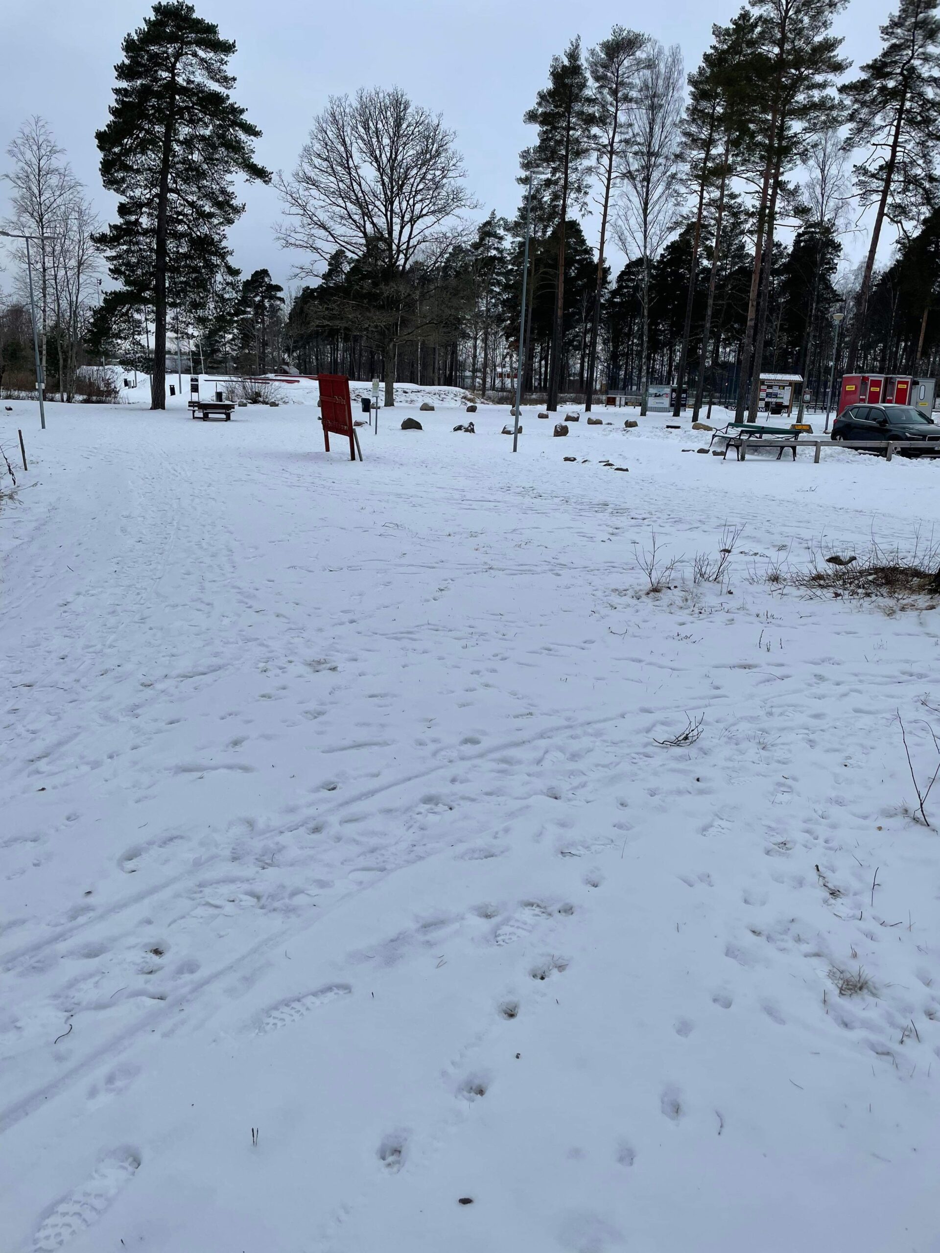 Snö: men inga skidspår i Petersburg