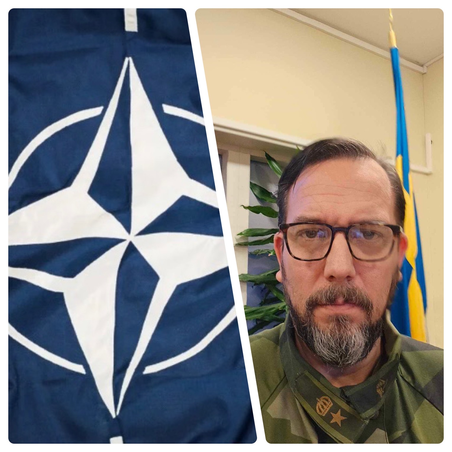 NATO: Vad betyder medlemskapet för Skara och skaraborna?