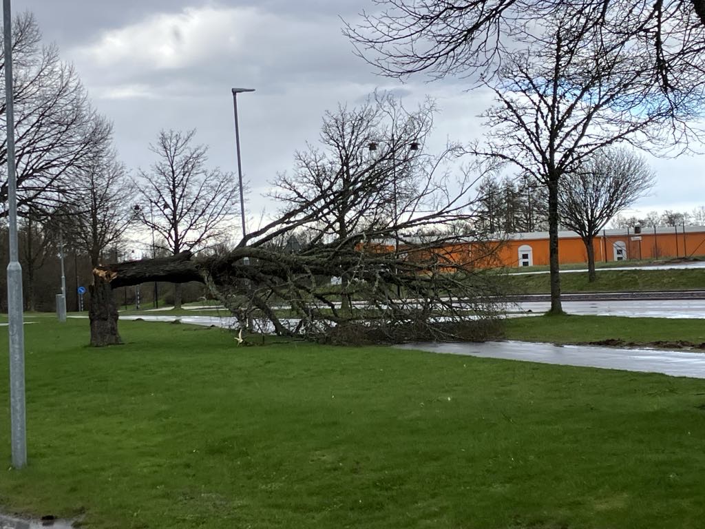 Blåsten slår mot Skara