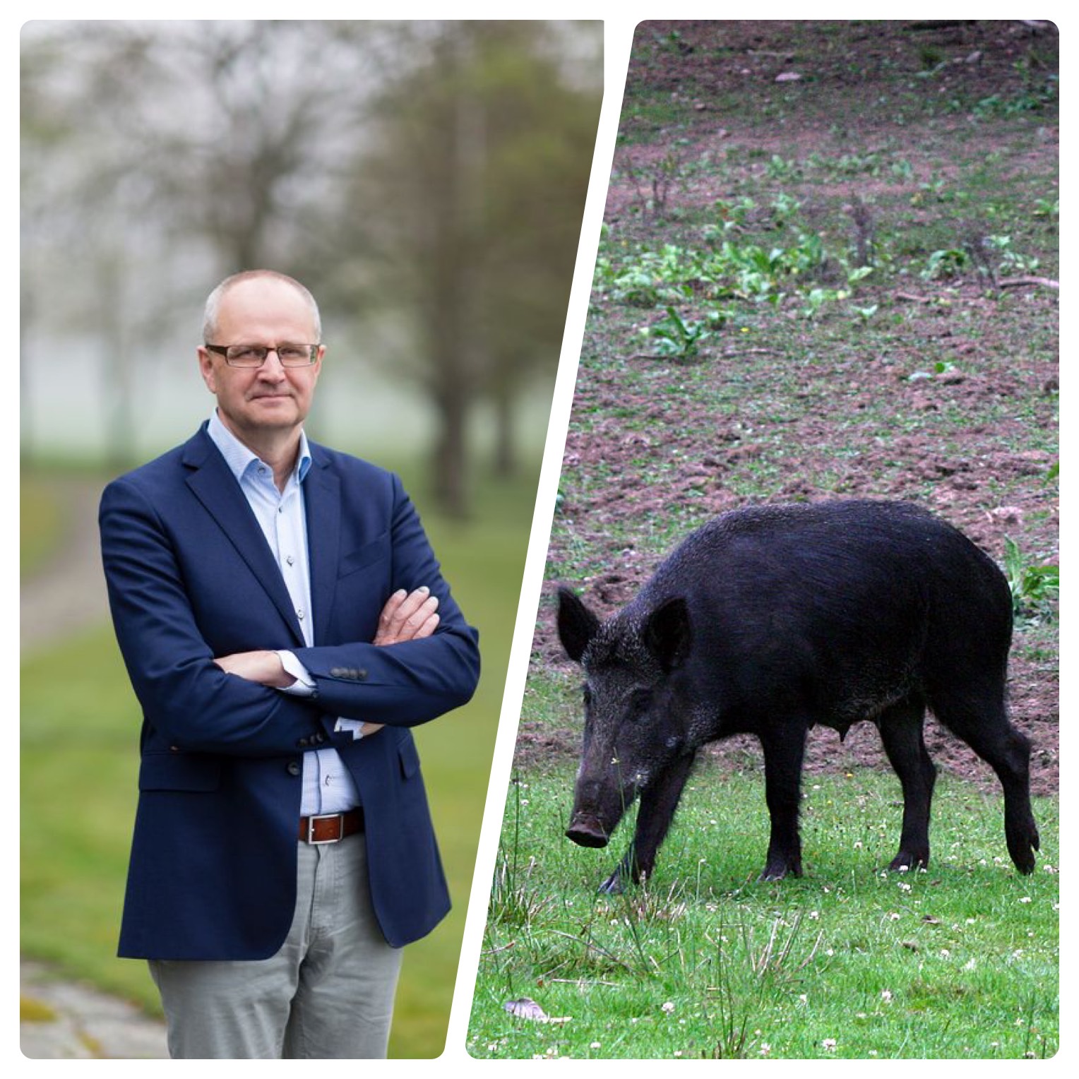 13 000 namn för färre vildsvin