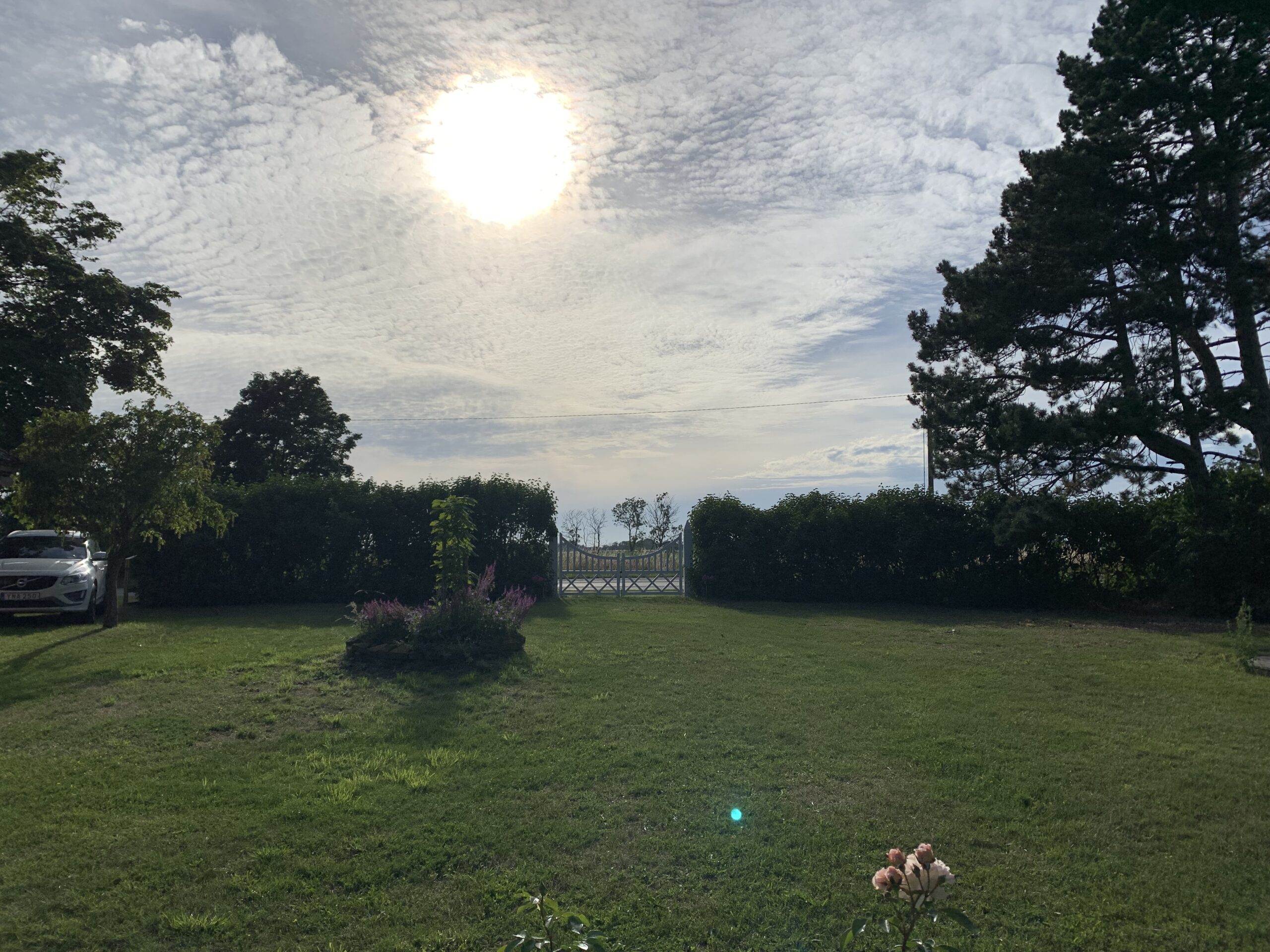 Så får du en myggfri sommarkväll!