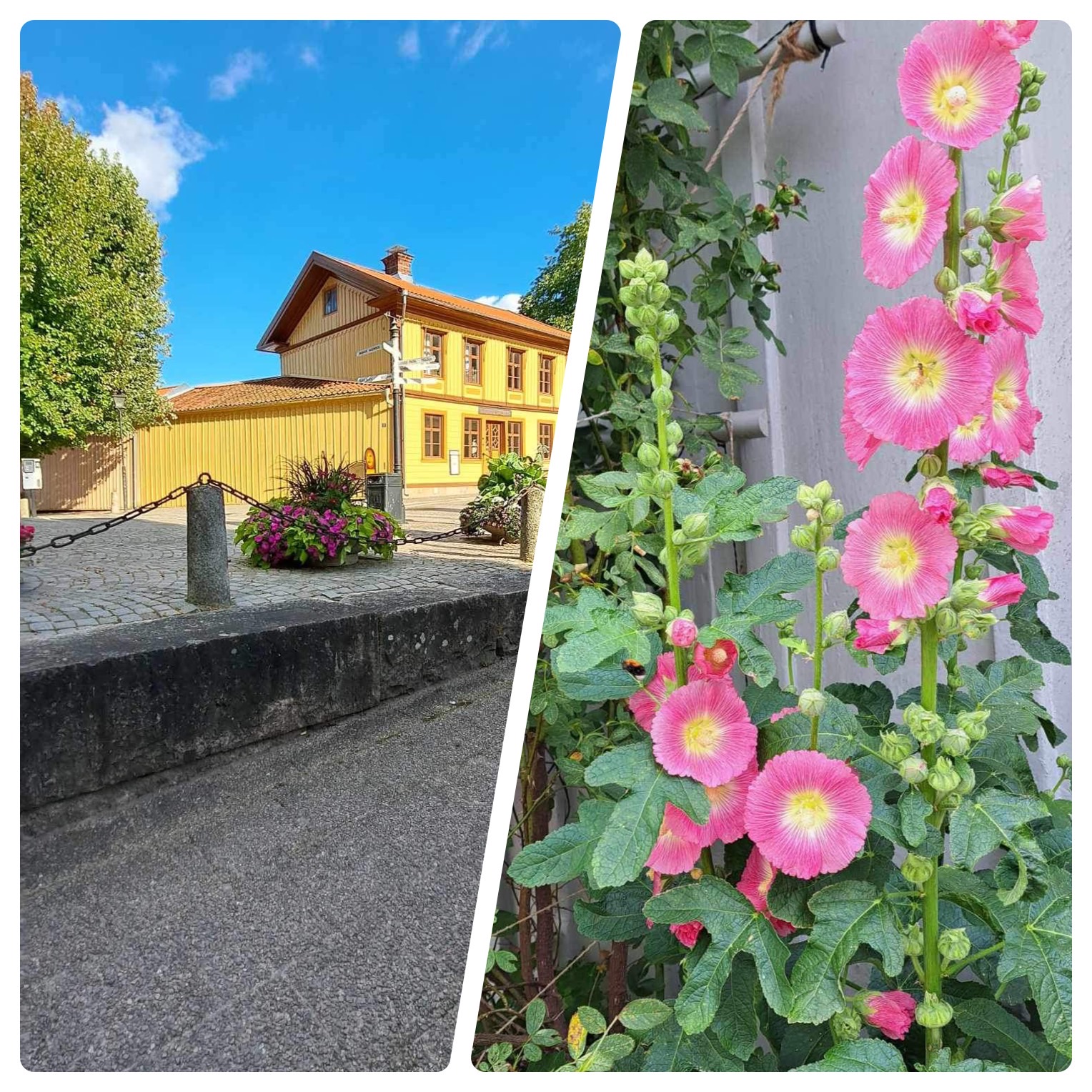 Insändare: Stolt över Skara!