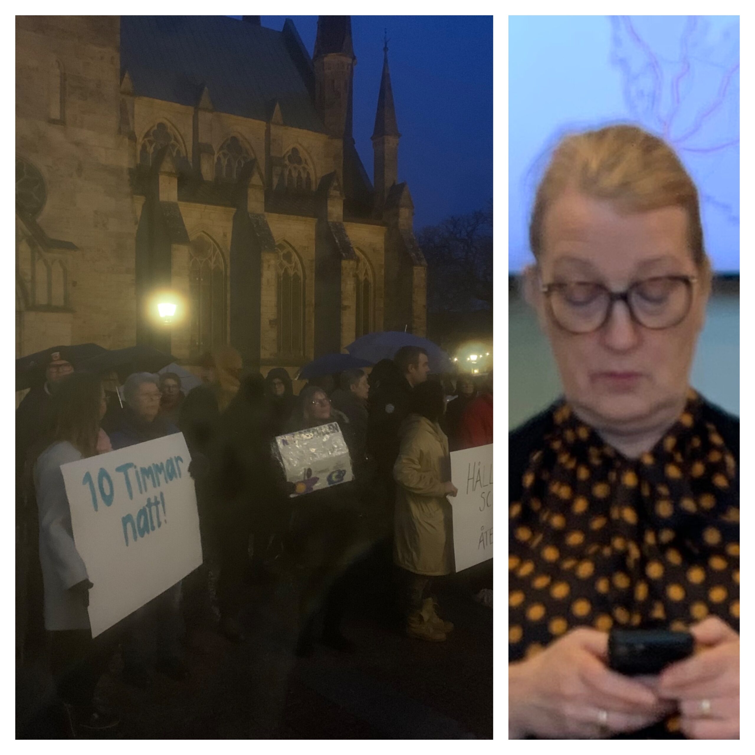 Hundratal demonstranter mot besparingar i omsorgen
