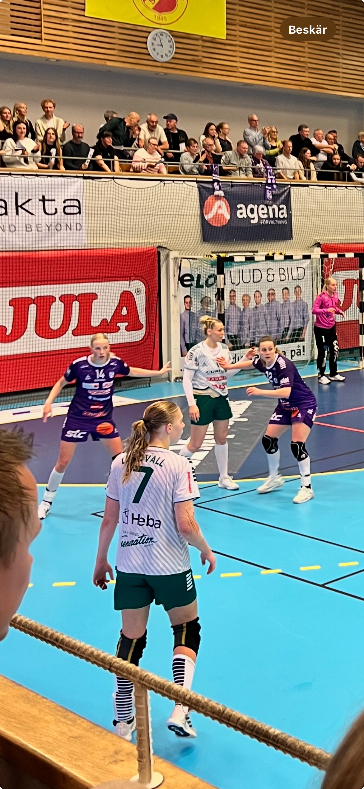 Så gick rysarsemin för Skara HF